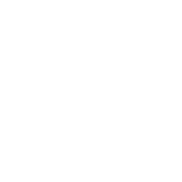 Pink Sand Beach - Bahamas